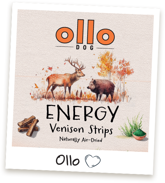 Przysmaki dla psa Ollo Energy Game Strips w Sklepie Ollo