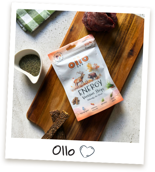 Przysmaki dla psa Ollo Energy Game Strips w Sklepie Ollo