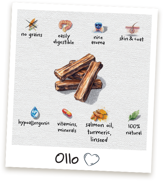 Przysmaki dla psa Ollo Skin & Coat Lamb Strips w Sklepie Ollo