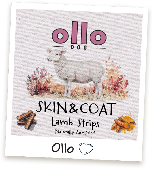 Przysmaki dla psa Ollo Skin & Coat Lamb Strips w Sklepie Ollo