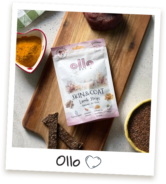 Przysmaki dla psa Ollo Skin & Coat Lamb Strips w Sklepie Ollo