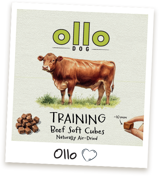 Przysmaki treningowe Ollo Beef Cubes w sklepie Ollo