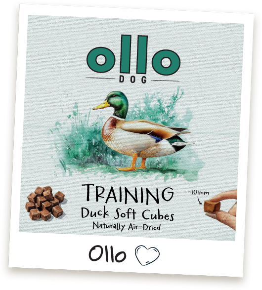 Przysmaki treningowe Ollo Duck Cubes w sklepie Ollo