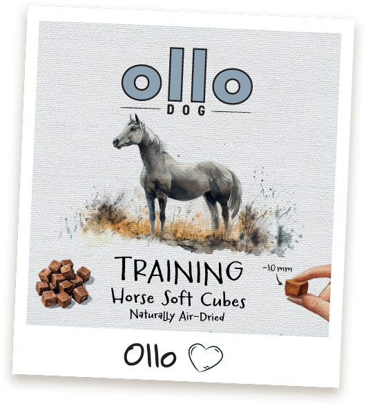 Przysmaki treningowe Ollo Horse Cubes w sklepie Ollo