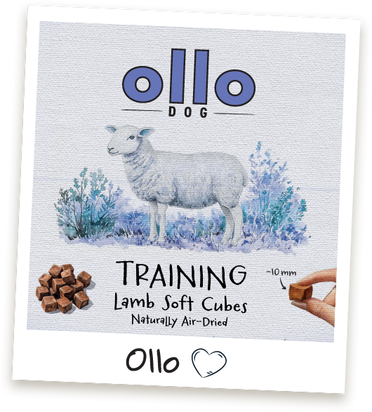 Przysmaki treningowe Ollo Lamb Cubes w sklepie Ollo