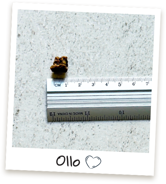 Przysmaki treningowe Ollo Turkey Cubes w sklepie Ollo