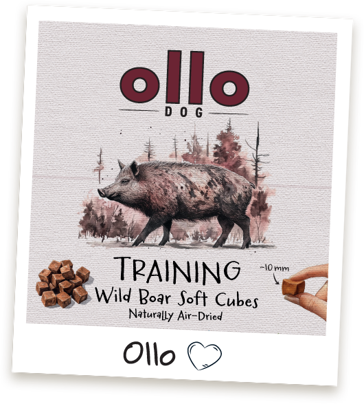 Przysmaki treningowe Ollo Wild Boar Cubes w sklepie Ollo