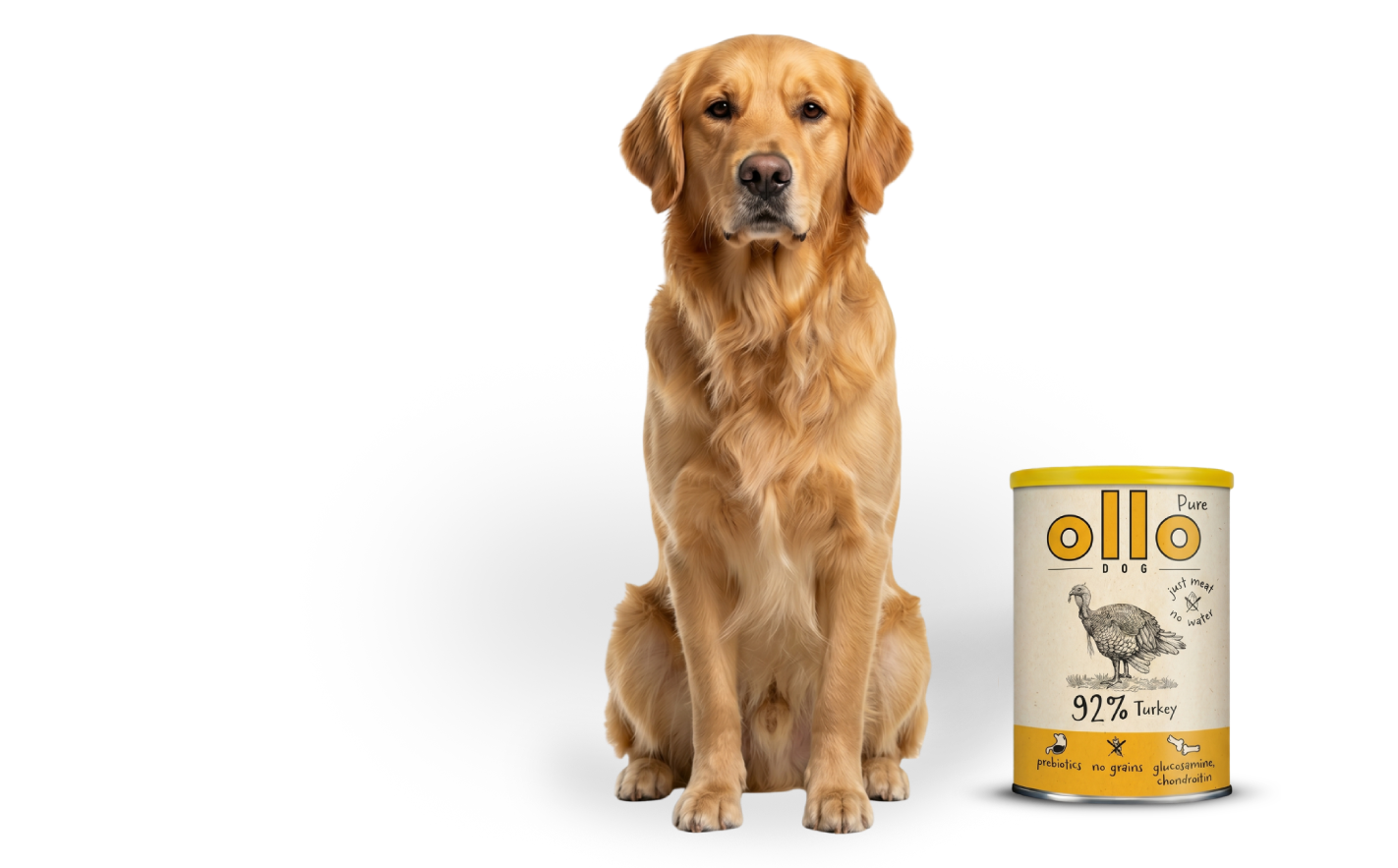 Pokrywka na puszkę Ollo w Sklepie Ollo