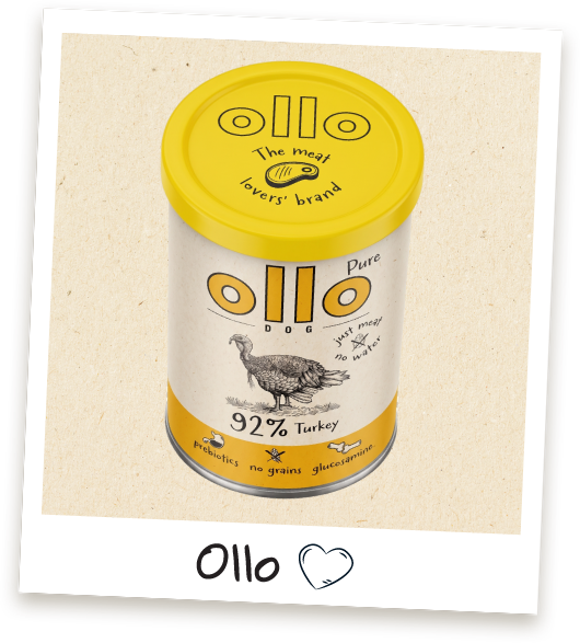 Pokrywka na puszkę Ollo w Sklepie Ollo