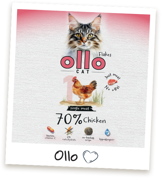Karma mokra dla kota Ollo Cat w saszetkach nr 1 Kurczak