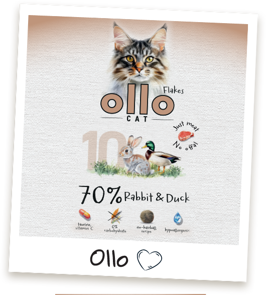 Karma mokra dla kota Ollo Cat w saszetkach nr 10 Królik i Kaczka