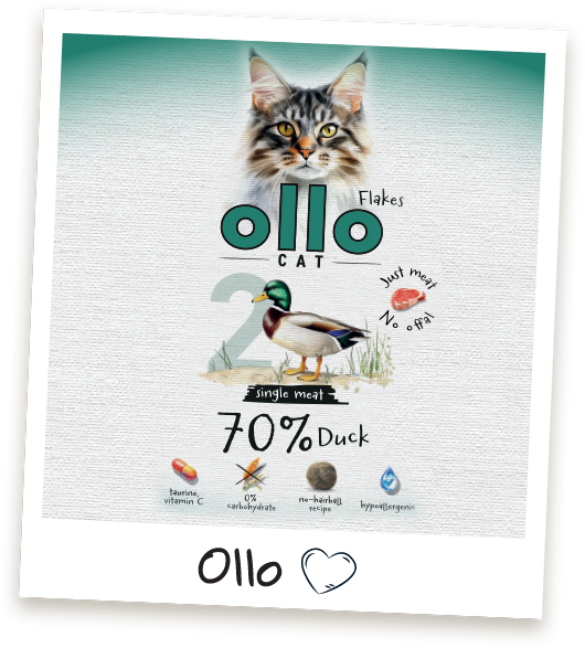 Karma mokra dla kota Ollo Cat w saszetkach nr 2 Kaczka