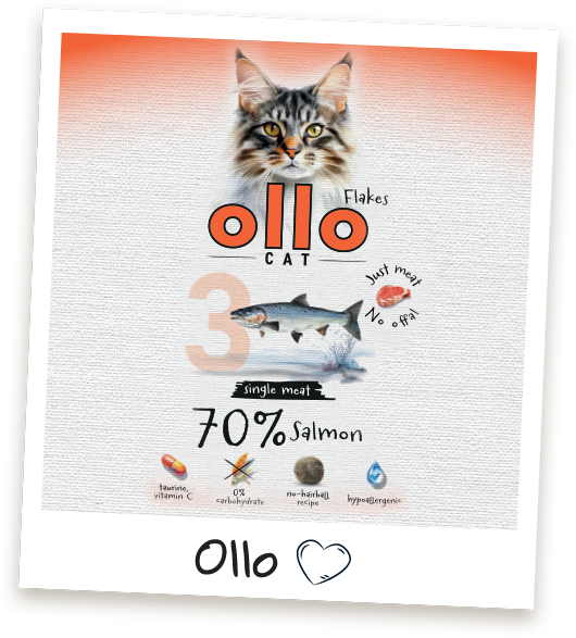 Karma mokra dla kota Ollo Cat w saszetkach nr 3 Łosoś