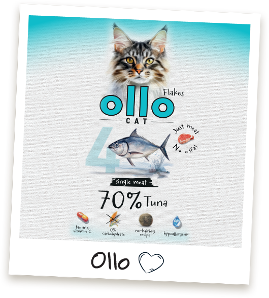 Karma mokra dla kota Ollo Cat w saszetkach nr 4 Tuńczyk