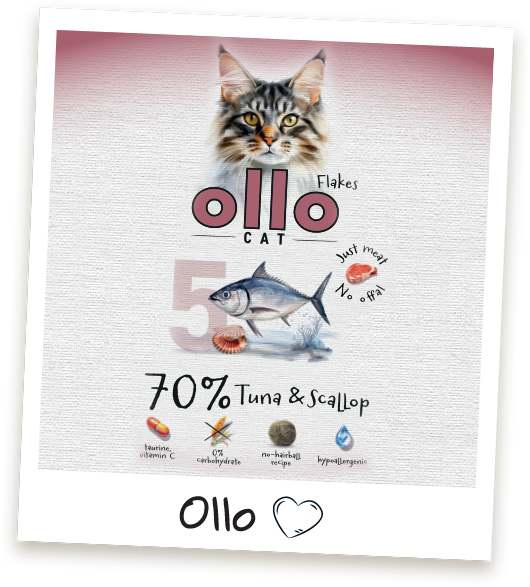 Karma mokra dla kota Ollo Cat w saszetkach nr 5 Tuńczyk i Przegrzebki
