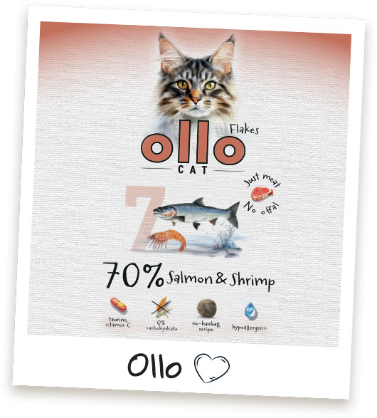 Karma mokra dla kota Ollo Cat w saszetkach nr 7 Łosoś i Krewetki