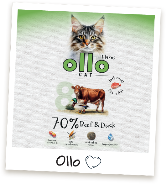Karma mokra dla kota Ollo Cat w saszetkach nr 8 Wołowina i Kaczka