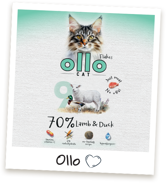 Karma mokra dla kota Ollo Cat w saszetkach nr 9 Jagnięcina i Kaczka
