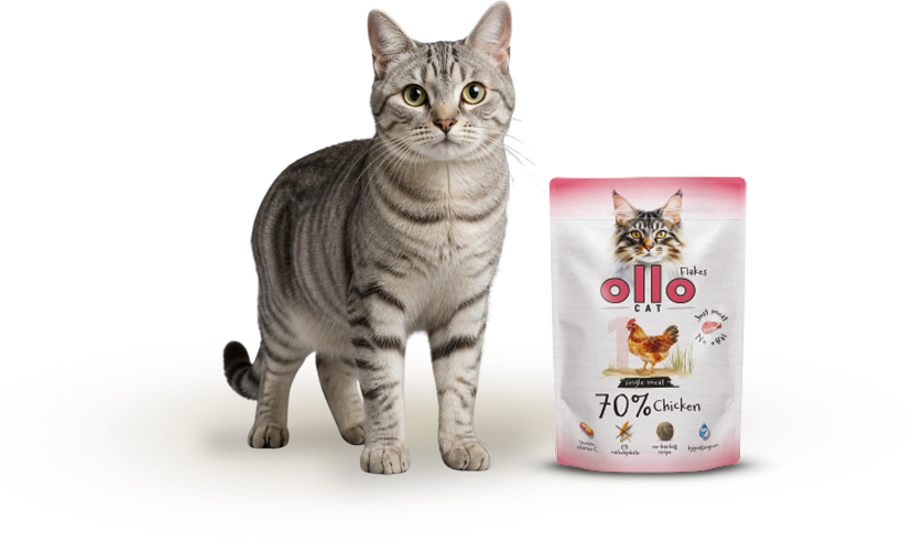 Karma mokra dla kota Ollo Cat w saszetkach nr 1 Kurczak