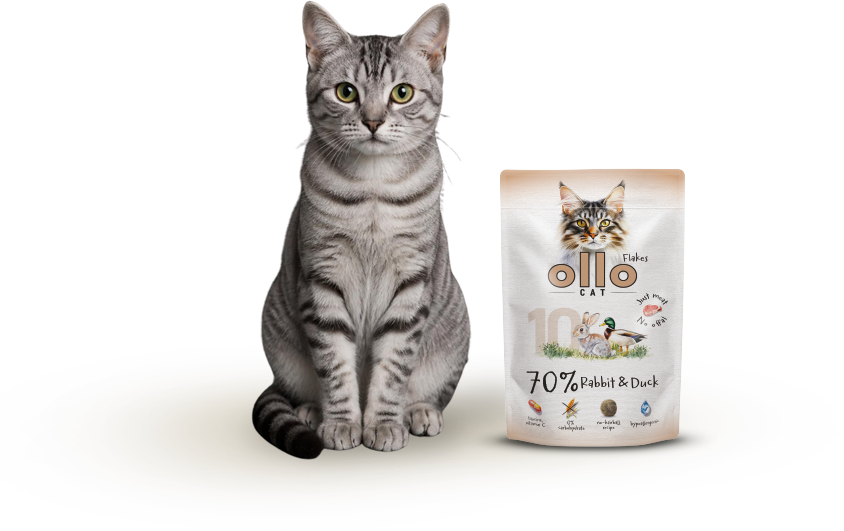 Karma mokra dla kota Ollo Cat w saszetkach nr 10 Królik i Kaczka