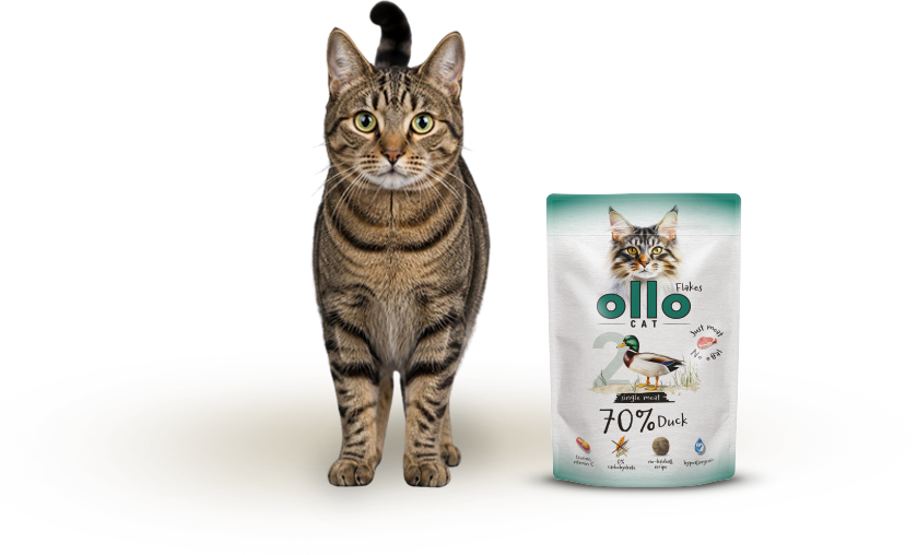 Karma mokra dla kota Ollo Cat w saszetkach nr 2 Kaczka