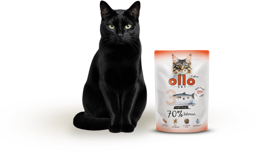 Karma mokra dla kota Ollo Cat w saszetkach nr 3 Łosoś