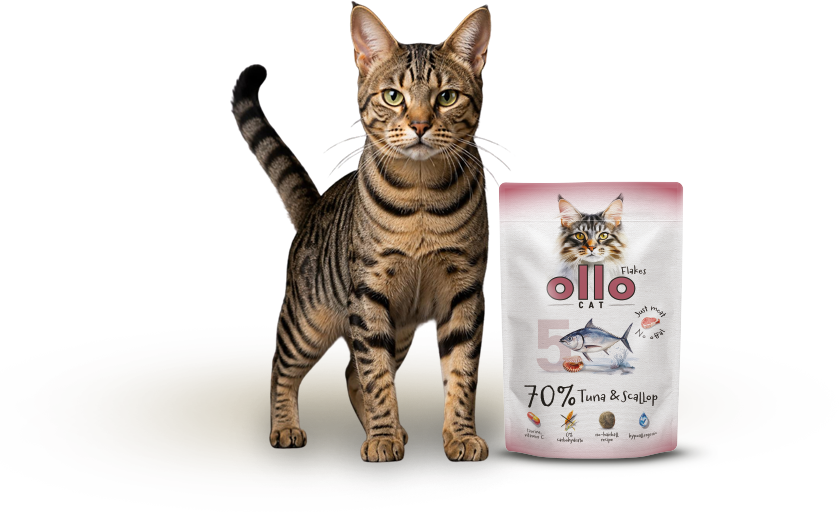 Karma mokra dla kota Ollo Cat w saszetkach nr 5 Tuńczyk i Przegrzebki