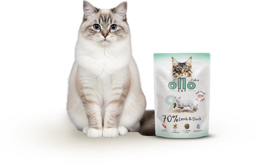 Karma mokra dla kota Ollo Cat w saszetkach nr 7 Jagnięcina i Kaczka