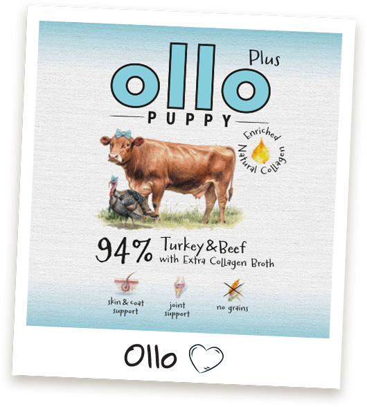 Karma mokra dla szczeniaka Ollo Kolagen Plus Indyk i Wołowina w sklepie Ollo