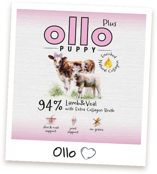 Karma mokra dla szczeniaka Ollo Kolagen Plus Jagnięcina i Cielęcina w sklepie Ollo