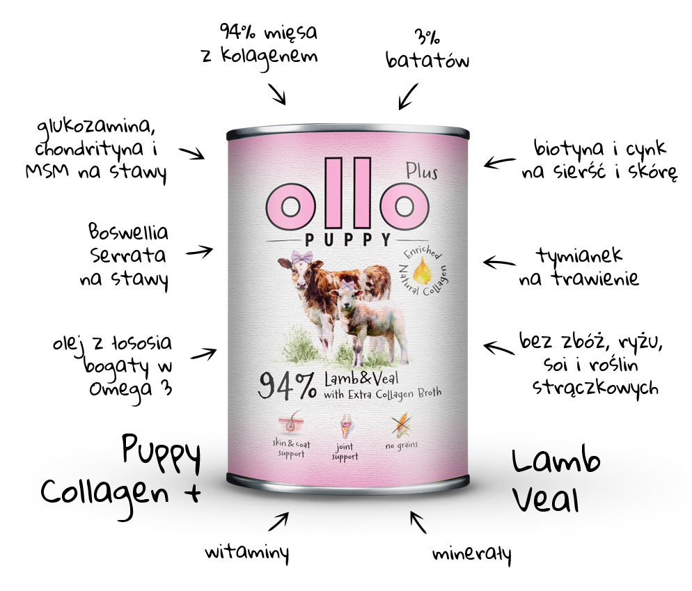 Karma mokra dla szczeniaka Ollo Kolagen Plus Jagnięcina i Cielęcina w sklepie Ollo